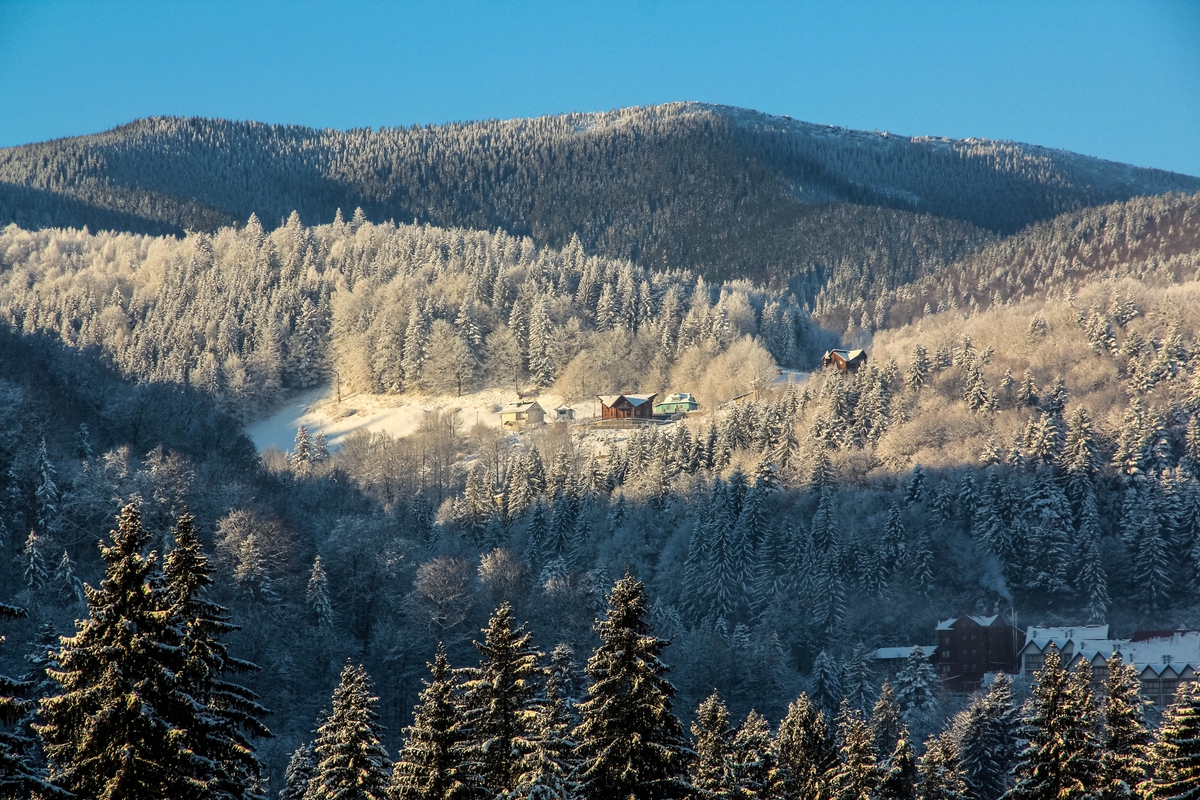 Карпатское море