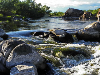 Швидкоплинність