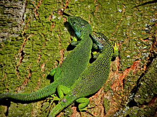 На травневому сонечку
