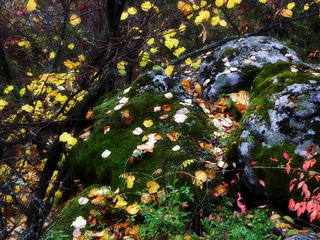Осінь в Бузькому Ґарді