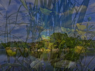 Медитація. Бузький Гард