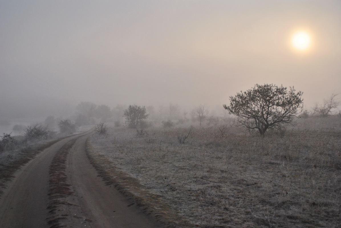 зимовий світанок