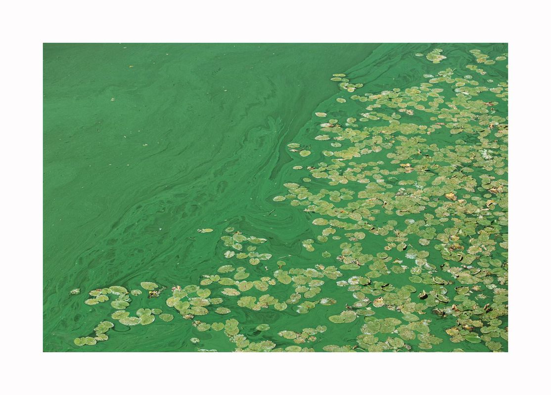 Вінниця, київський міст