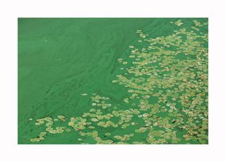 Вінниця, київський міст