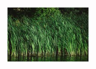 Вінниця, центральний міст