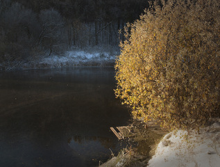 Перший мороз