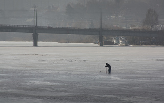 В пошуках їжі