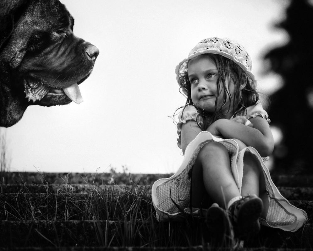 Не бойтесь Мадемуазель, я просто хотел с вами познакомиться …