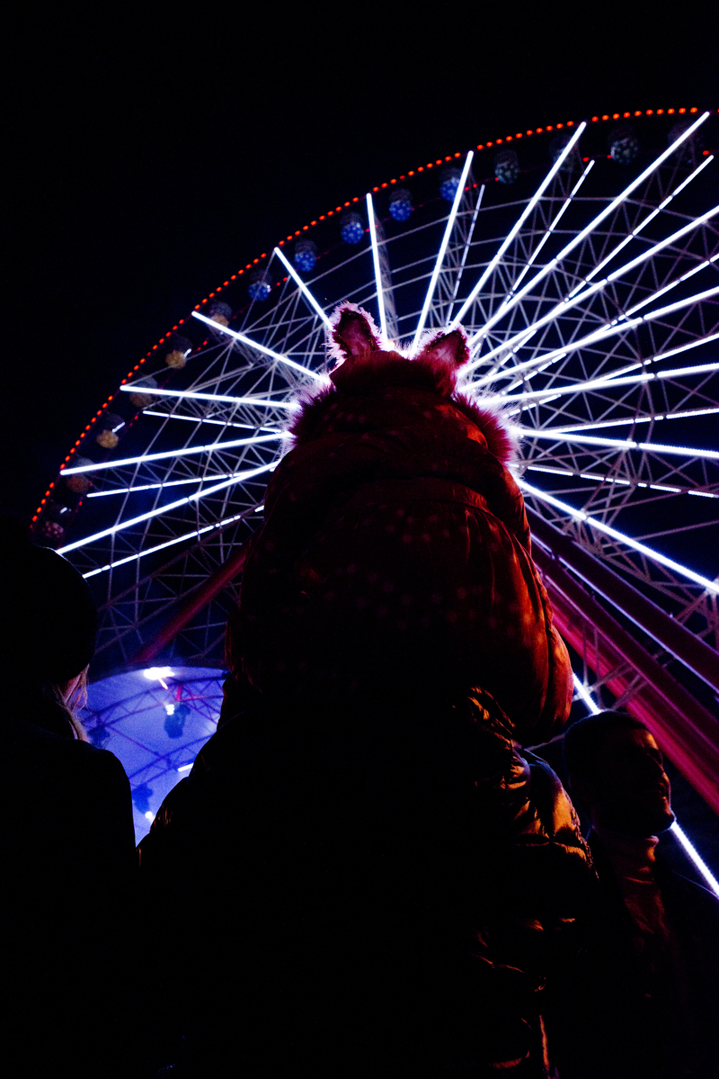 Зайка. В вечернем парке.