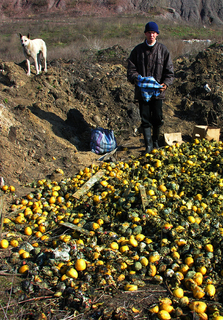 Выжить любой ценой