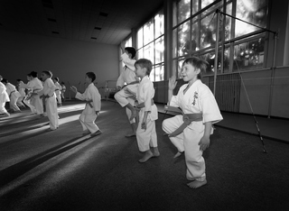 Каратедрїсти