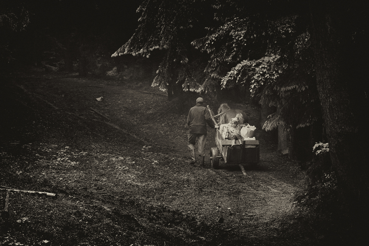 Переселення