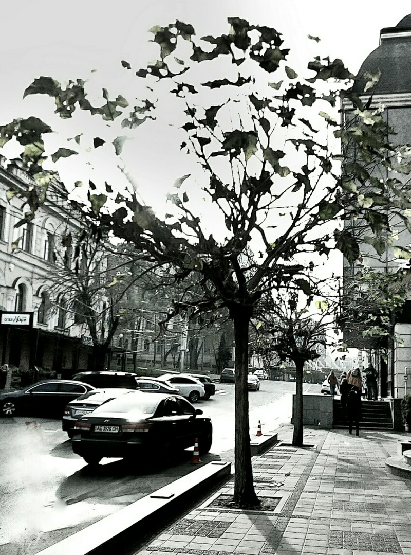 Осеннее утро