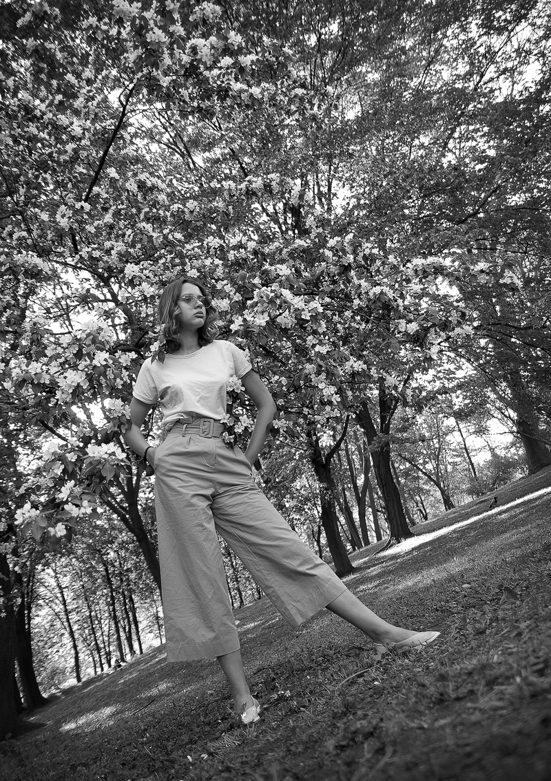 Яблуневий цвіт