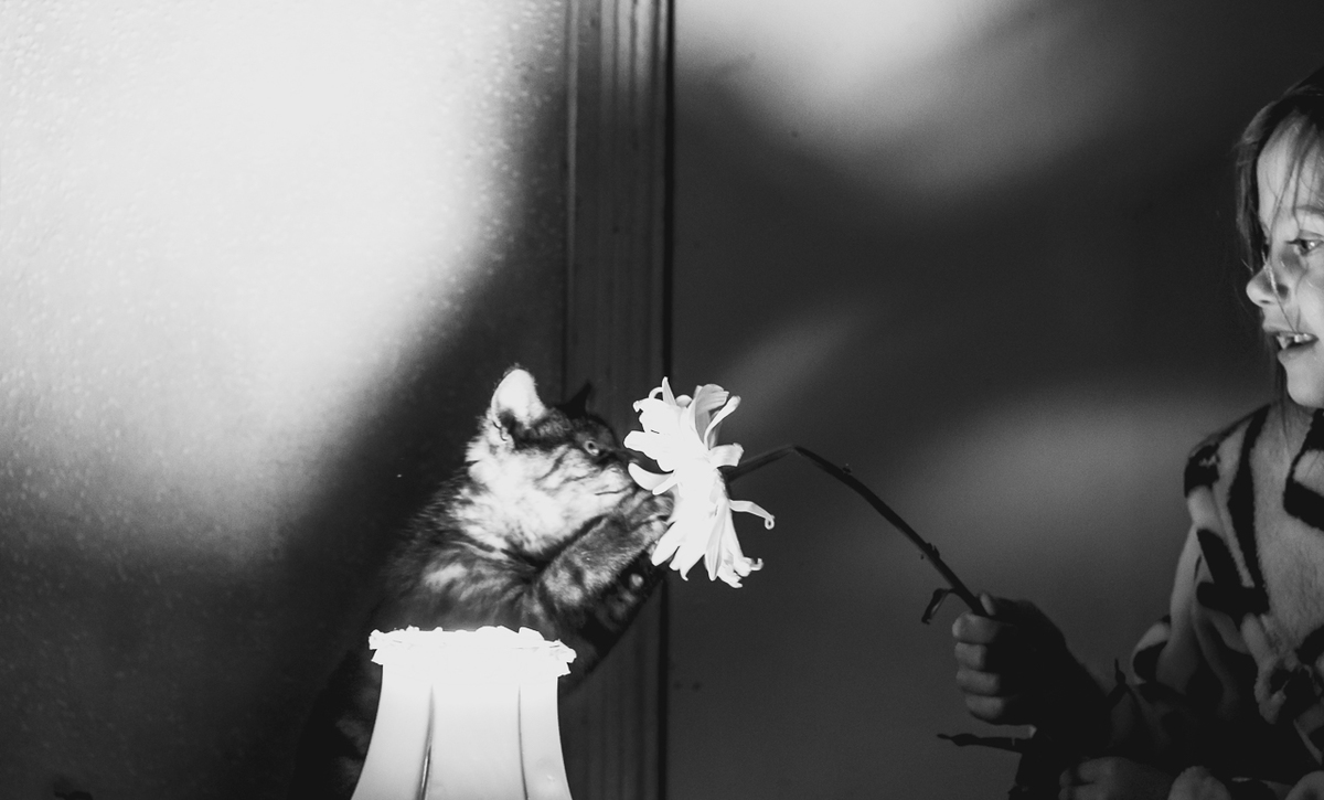 Домашняя атмосфера