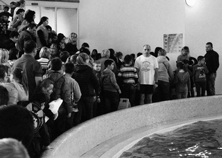 Дельфінарій