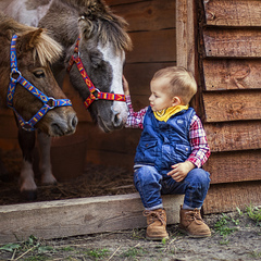 Портрет с друзьями