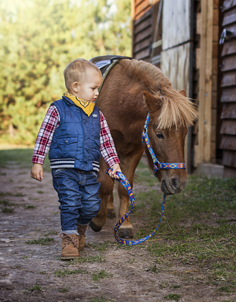На прогулку