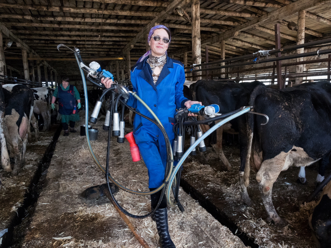 Доярка Юля
