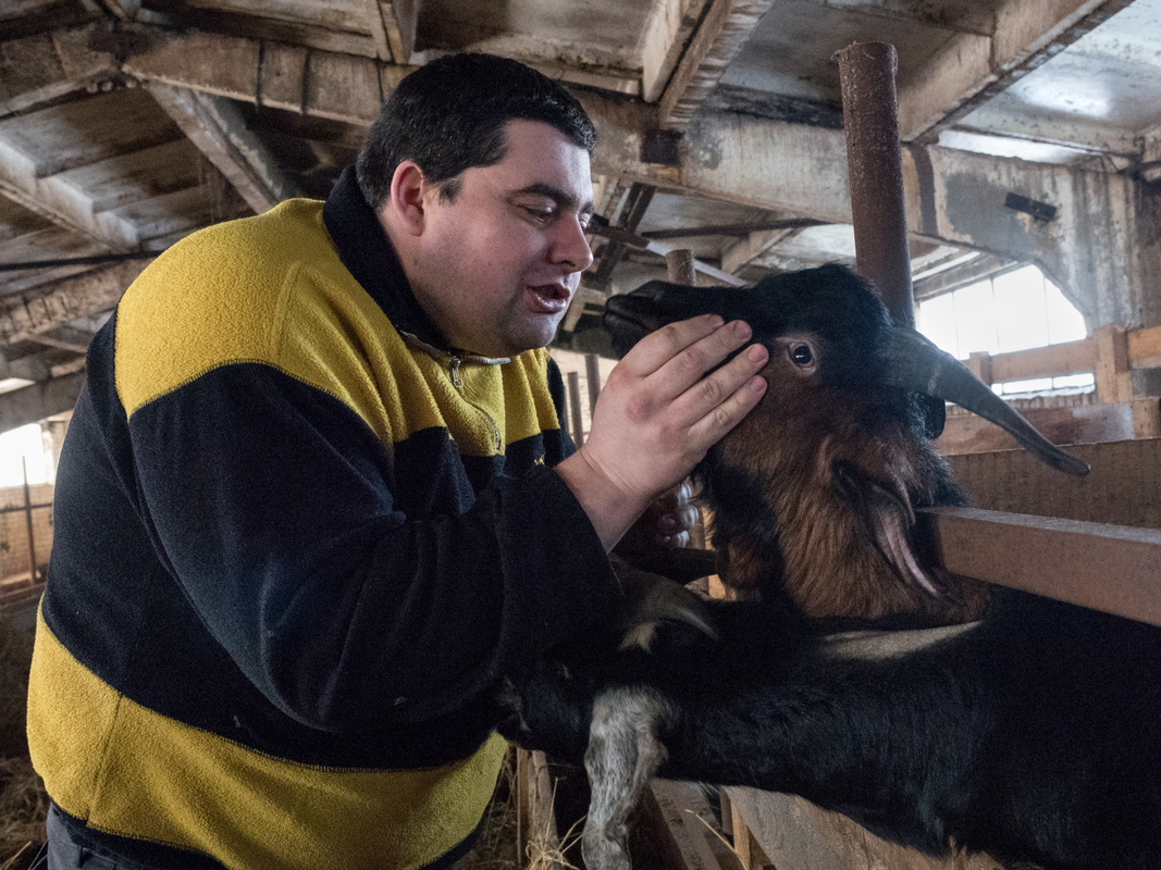 Деловитая Старица - 3