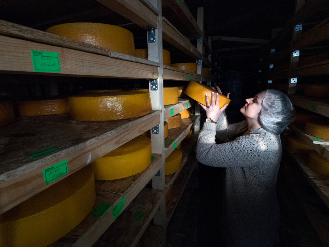 Деловитая Старица - 5