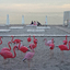 Море, пляж и розовые фламинго