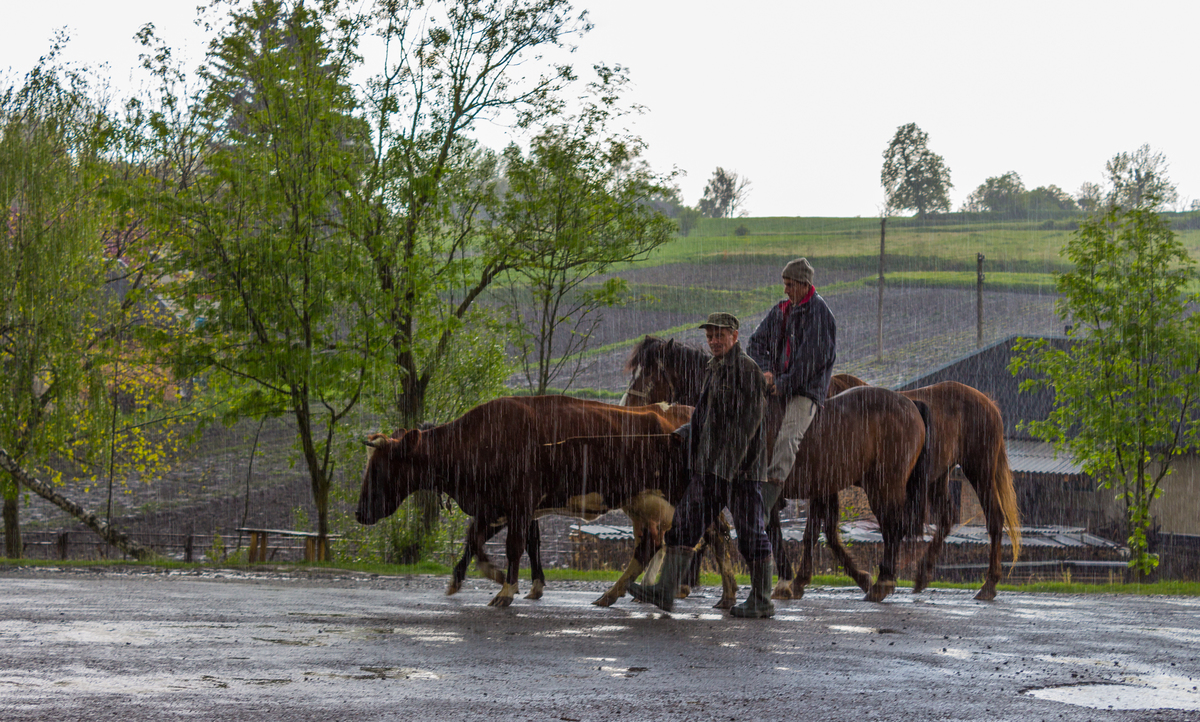 Під дощем і грозою 1