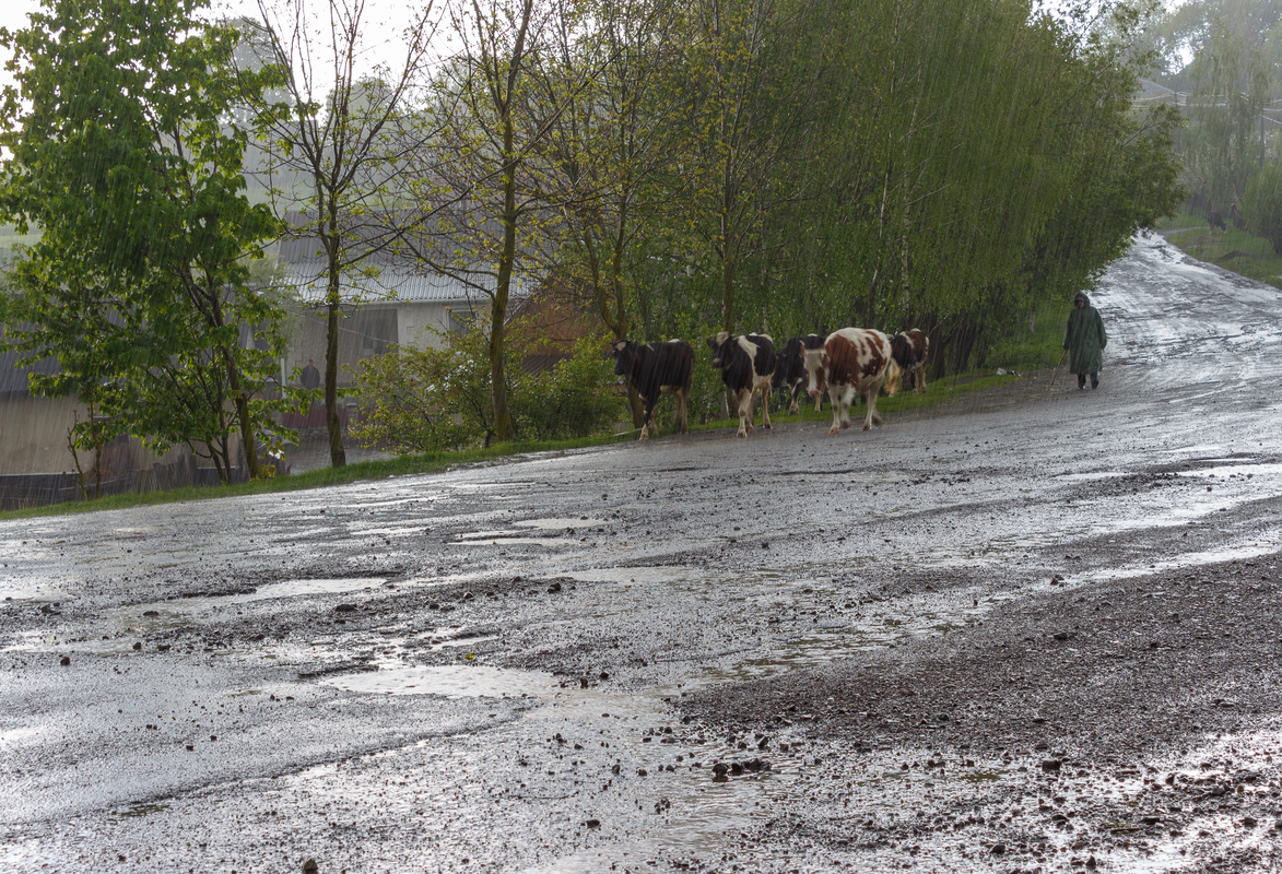 Під дощем і грозою 2