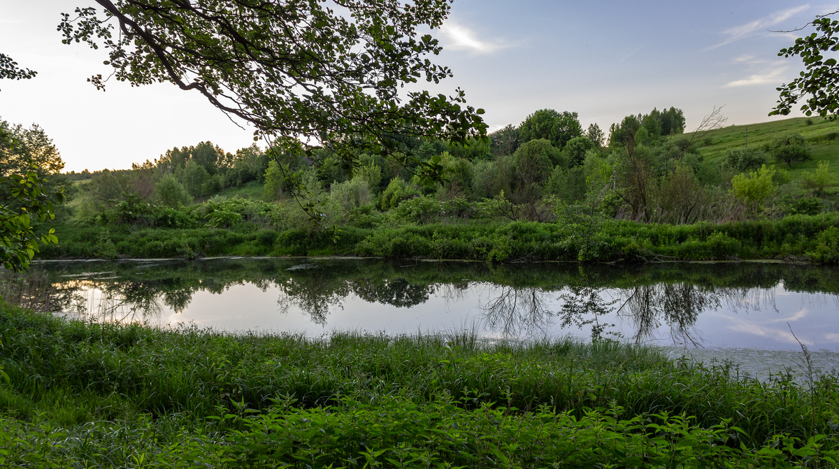 Літня тишина