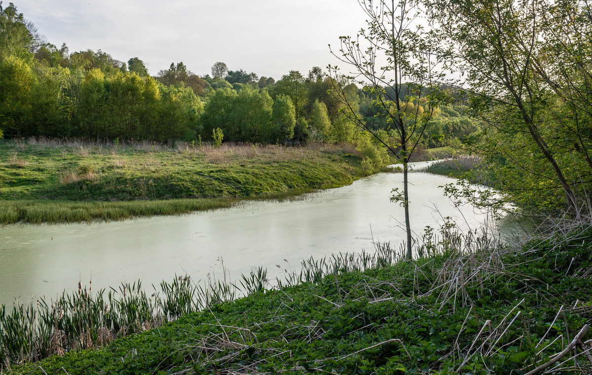 Квітнева вечірня тиша