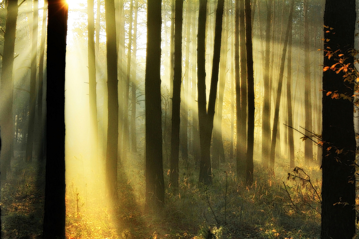 Променем надiї