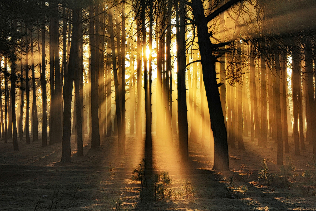 Просвiтлення