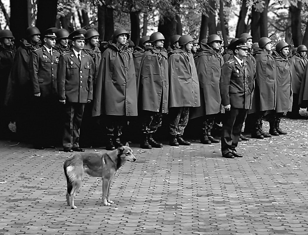 Всі стоять по команді, струнко. 