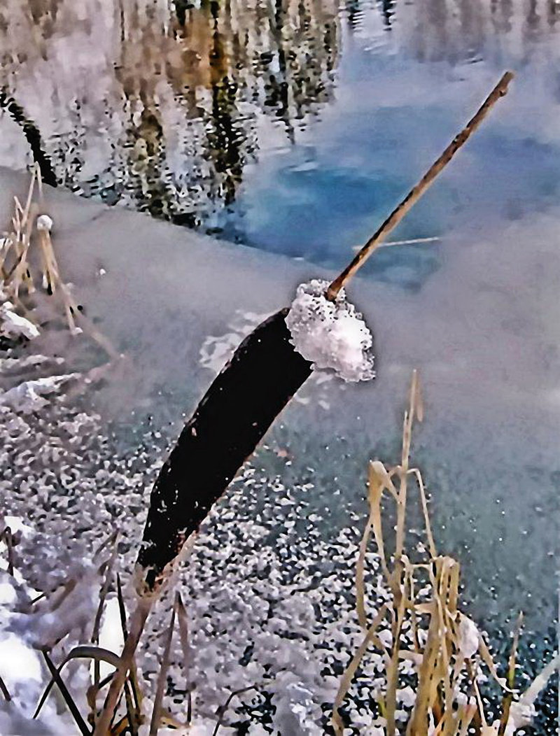 Залишив мороз свій слід.       
