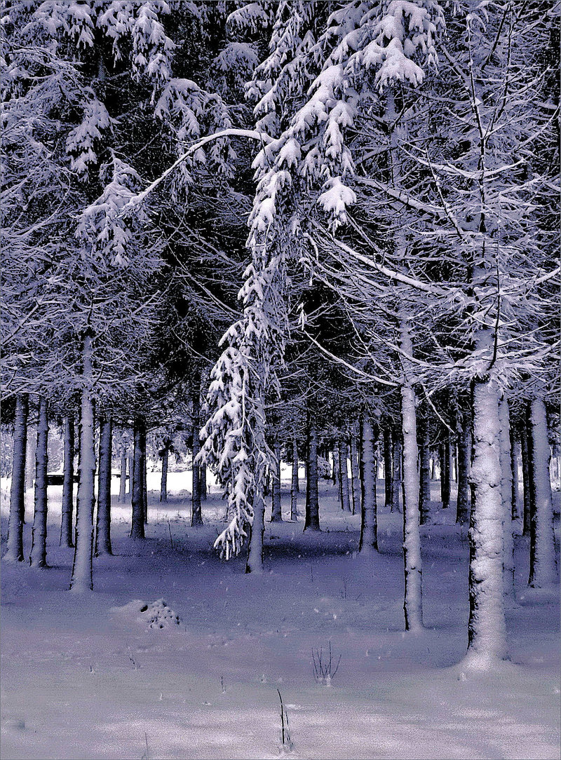 Мальовнича снігова гирлянда.