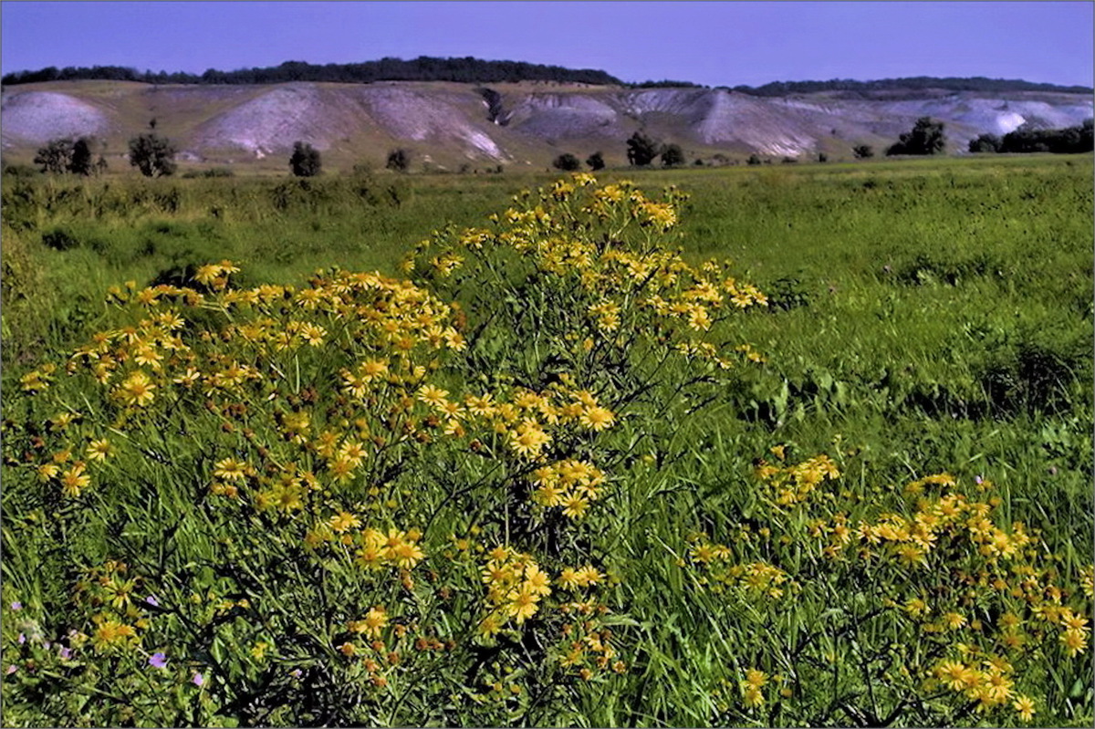 Мандрівка в Білі гори.1.