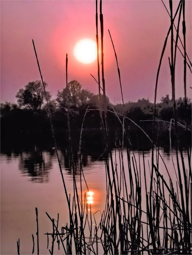 Мандрівка в Білі гори.7.