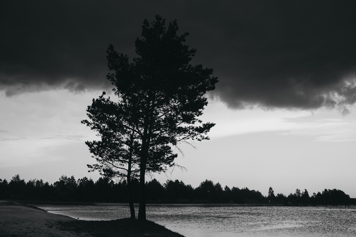 Перед грозою 