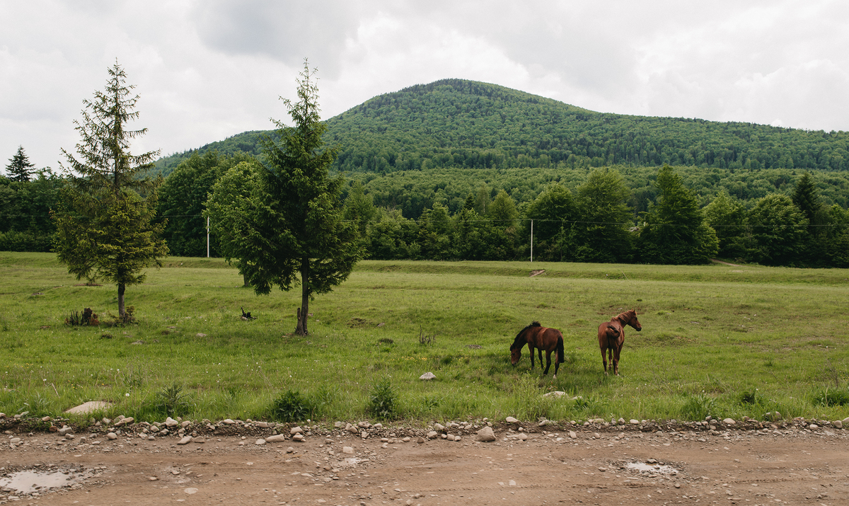 Карпатський краєвид