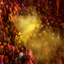 happy holi.