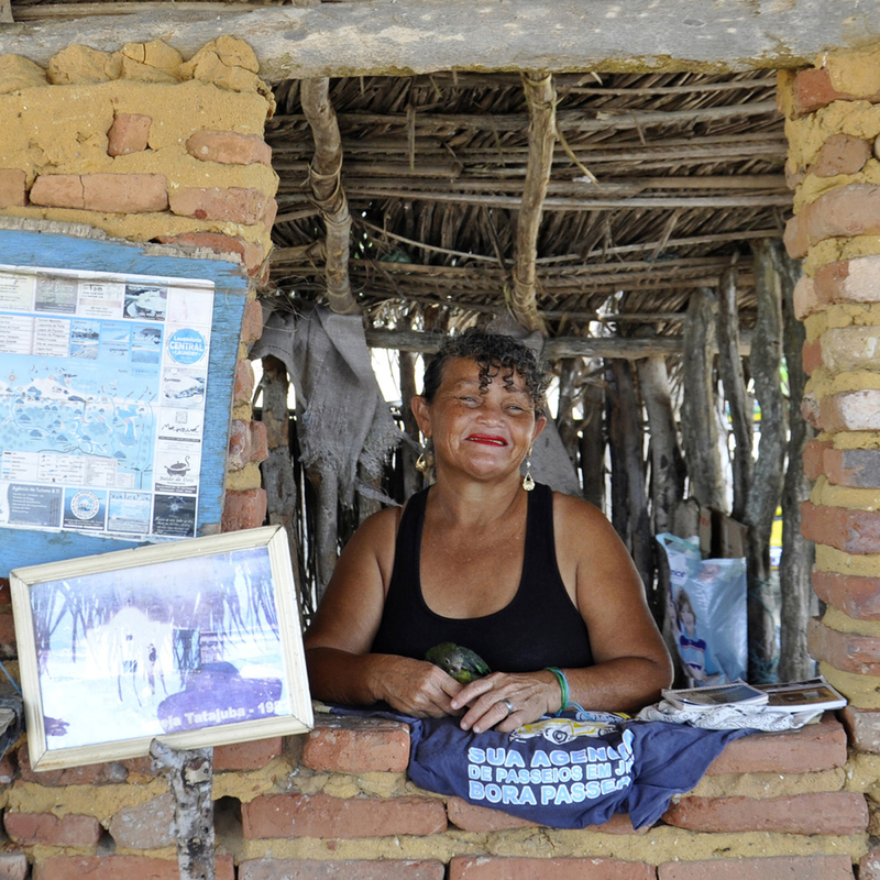 Contadora de História 