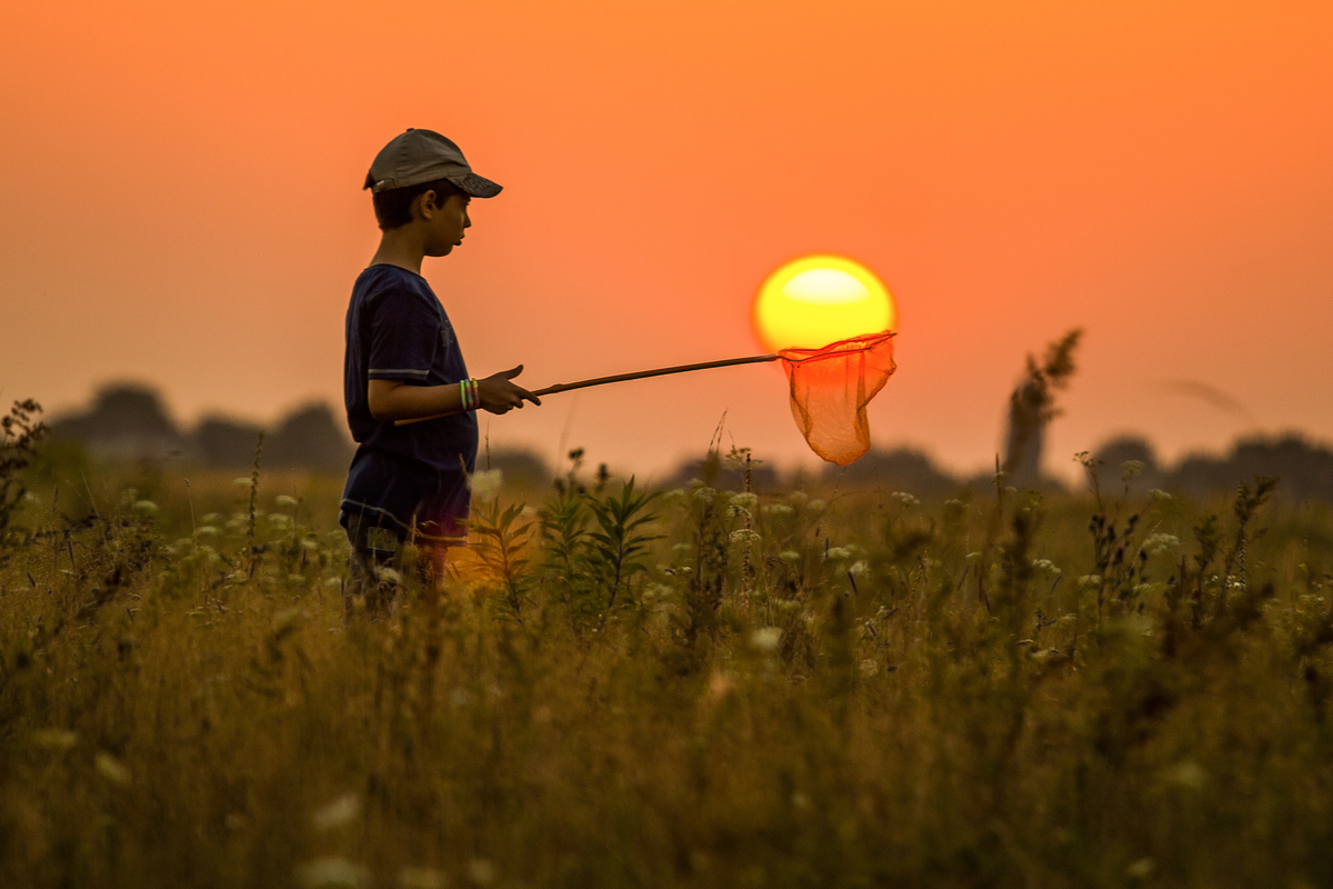 Спіймане сонце