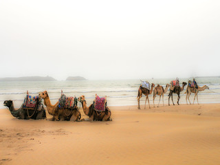 день починається