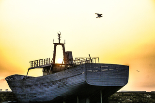 останній притулок