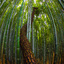Bamboo Grove