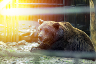 Останні промені