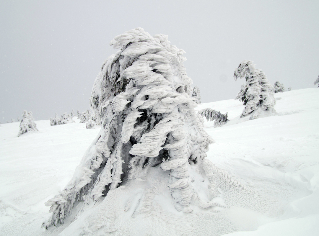 візерунки зими