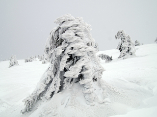 візерунки зими