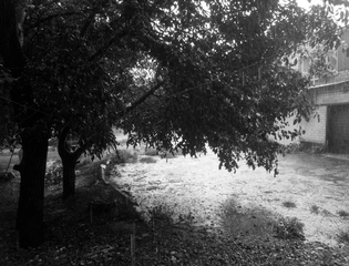 дощ за вікном