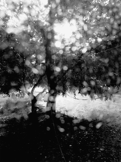 дощ за вікном 3